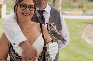 Aves do Oeste - 5