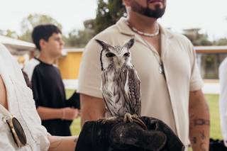 Aves do Oeste - 7