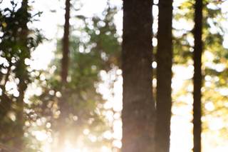 Margarida Góis Photography - 5