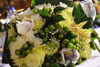 Sete Folhas - 29
