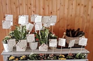 Quinta Dona Maria - 15