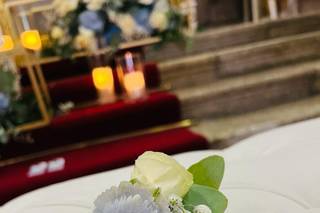 Tendências Naturais - 36