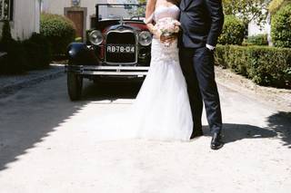 Boris the Cat - Wedding Photography - 38