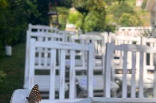 Quinta da Fontinha - 34