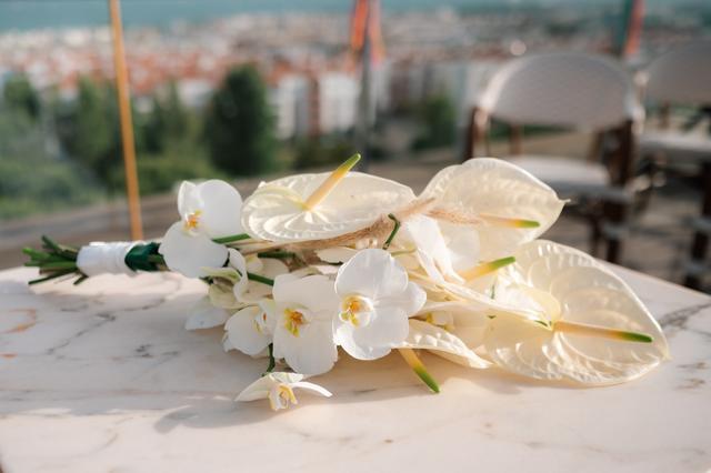 Fleur de Fátima - 1