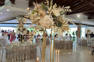 Tendências Naturais - 8