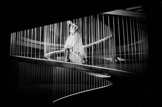 Felipe Miranda Photography - 31