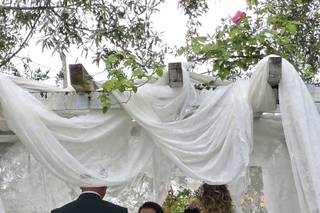 Wedding Planner Liliana Aiveca - 1