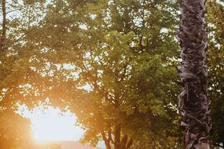 Jéssica Silva - Event Planner - 5