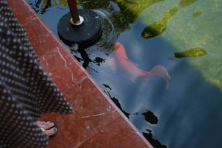 B The Travel Brand - 18