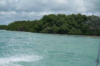 B The Travel Brand - 19