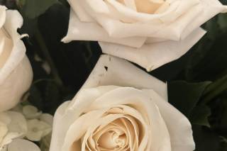 Madame Boutique Floral - 8