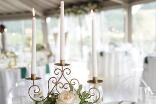 Tendências Naturais - 34