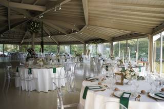 Tendências Naturais - 35