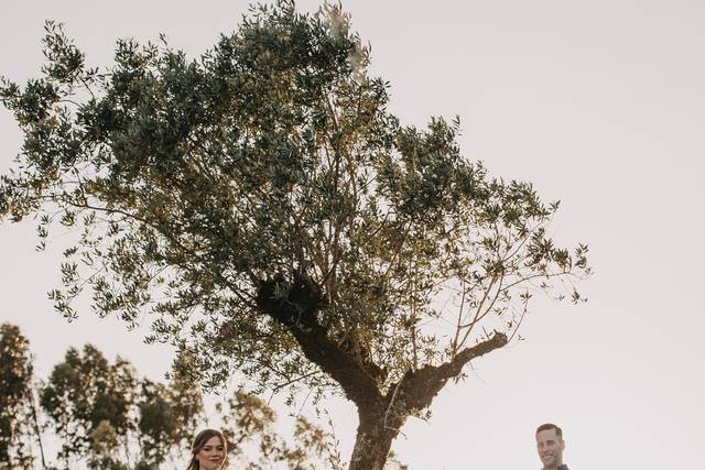 David Cardoso Photography 2
