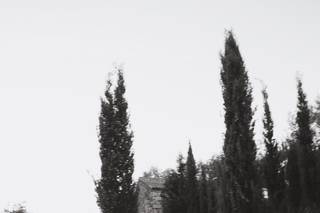 Quinta de Monfalim - 8