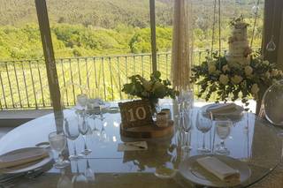 Tendências Naturais - 46