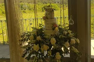 Tendências Naturais - 47