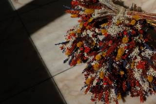 Catarina Sampaio Soares - 22