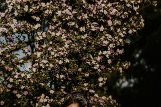 Tendências Naturais - 26