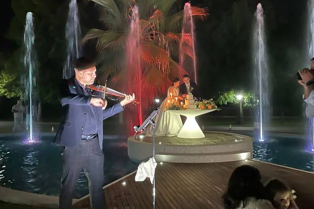 Violin by Oliver 4