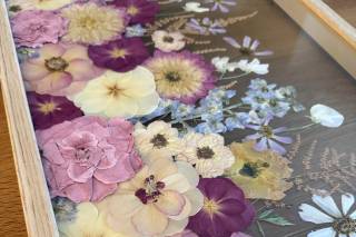 Aurora Pressed Flowers - 6