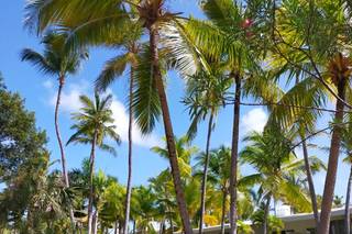 Destino Viagem - 28