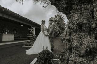 Casa dos Cisnes - 6