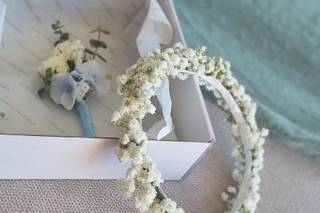 Tendências Naturais - 23