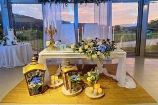 Tendências Naturais - 24