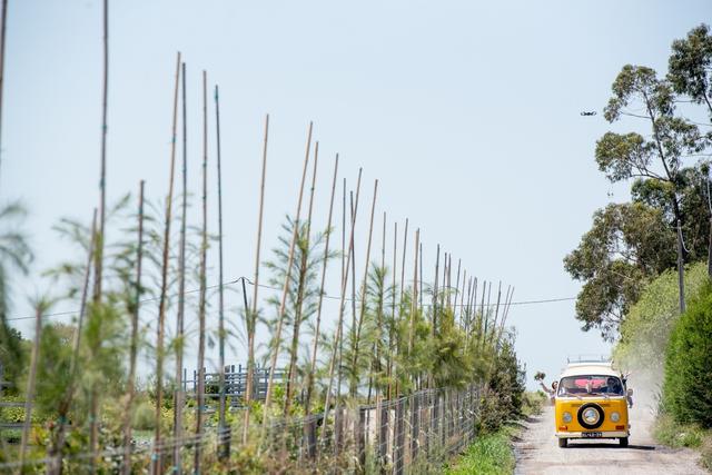 Aluguer VW - Pão de Forma - 4