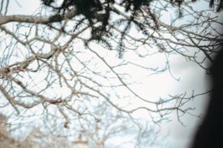 Blackfox Films - 6