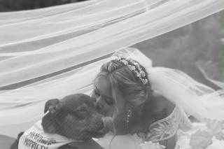 Amor de Quatro Patas - 5