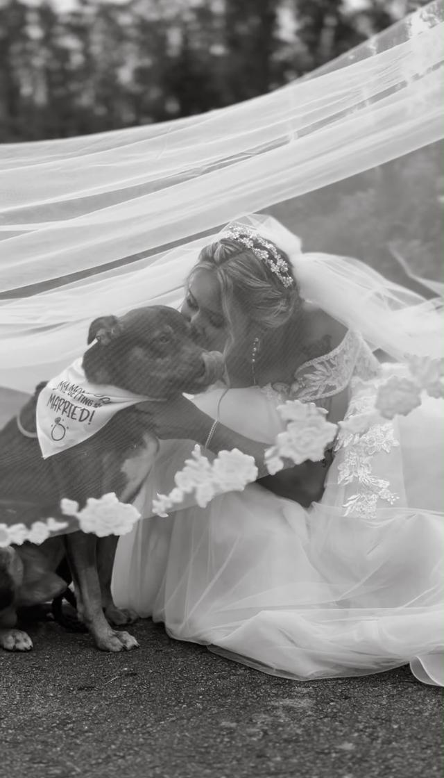 Amor de Quatro Patas - 2
