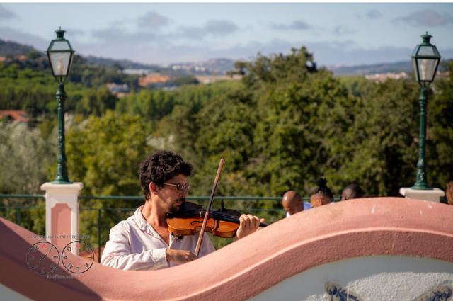 Luís Matos de Almeida - Violinista - 4