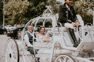 Charrete Cinderela - 5