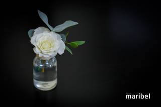 Into Bloom - Floral Design & Eventos - 45