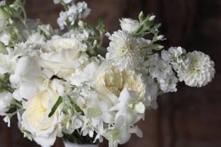 Flores & Amores - 11