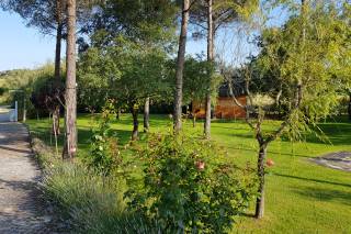 Quinta Dona Maria - 38