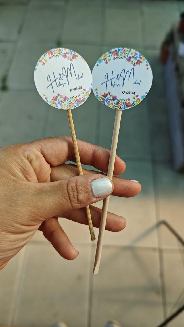 Fonte das Suculentas - 2