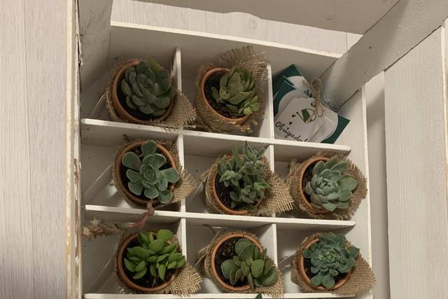 Cultivo d'Amor 2