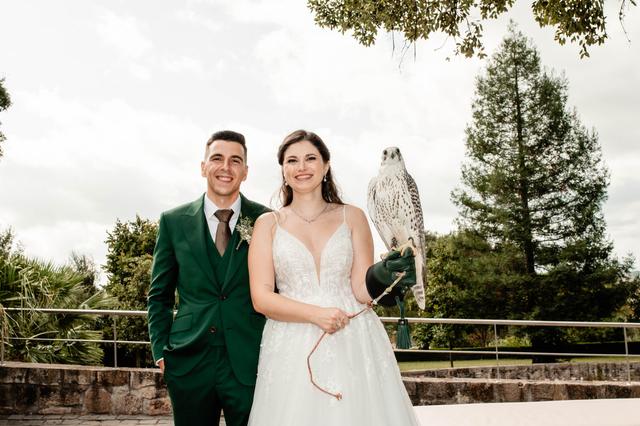 Aves do Oeste - 3