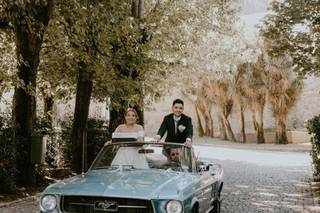 Classic Car Eventos - 14