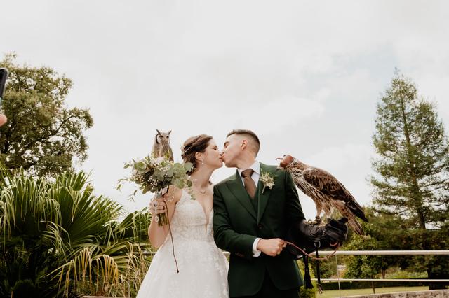 Aves do Oeste - 4