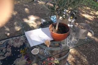 Di Amore - Celebrante - 26