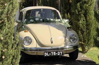 Love Bug - 6