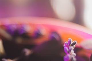 Romeu Bettencourt - 4