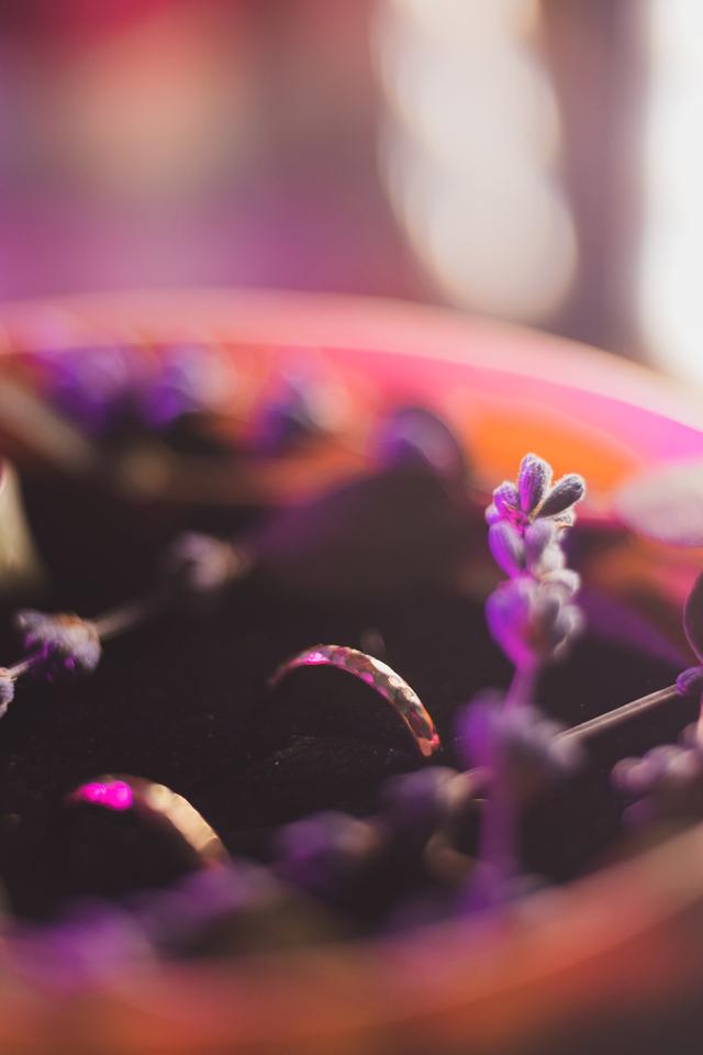 Romeu Bettencourt - 1