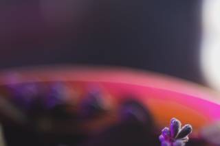 Romeu Bettencourt - 5