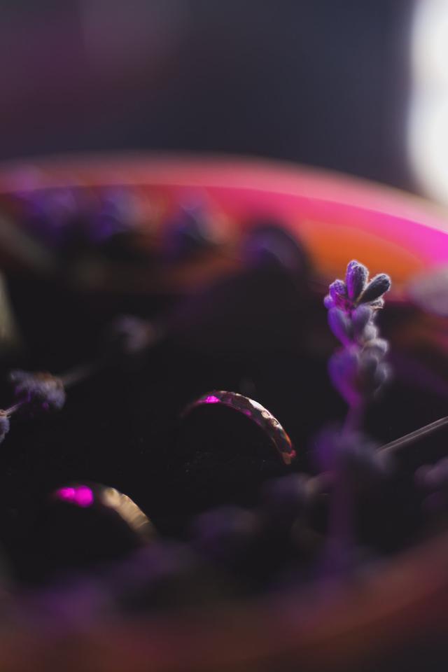 Romeu Bettencourt - 2